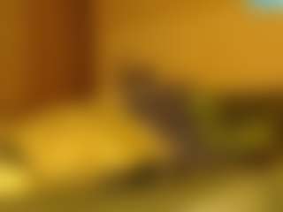 Live cam show with LusciousLipsT - Ebony on Camsoda | south africa