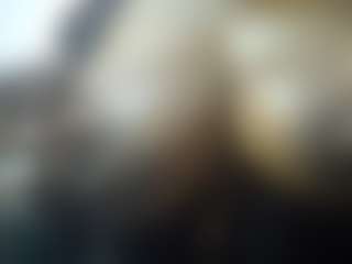 Sessley's Live Sex Cam Show
