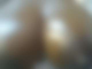 Sessley's Live Sex Cam Show