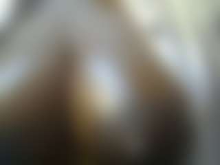 Sessley's Live Sex Cam Show