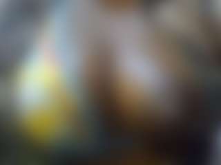 Sessley's Live Sex Cam Show
