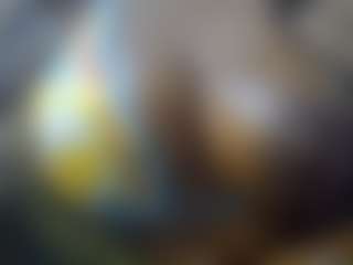 Sessley's Live Sex Cam Show