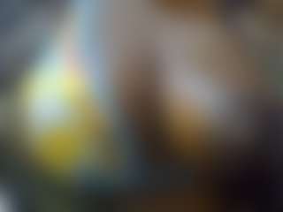 Sessley's Live Sex Cam Show