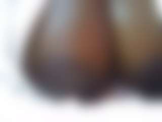 Sessley's Live Sex Cam Show