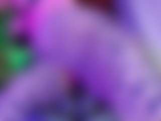 laurenhills's Live Sex Cam Show