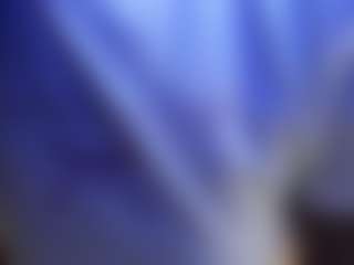 LANA's Live Sex Cam Show
