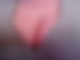 Cam Show en direct de seductiveprincess