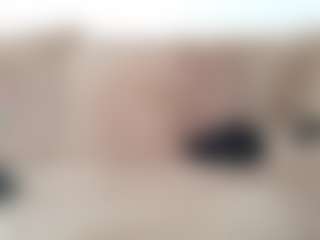 abbeyk11's Live Sex Cam Show