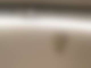 BustyAfribabe's Live Sex Cam Show