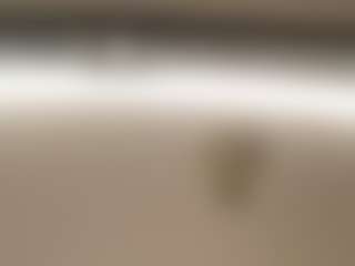 BustyAfribabe's Live Sex Cam Show