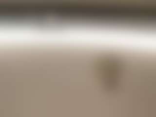 BustyAfribabe's Live Sex Cam Show