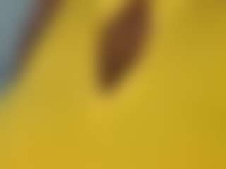 Live cam show with BustyAfribabe - Middle Aged on xplaylive.com