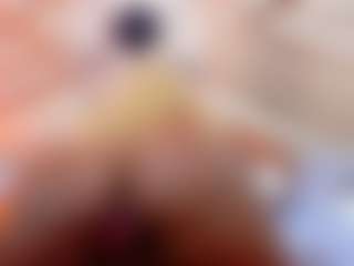 Live cam show with Kendrafosteer - Middle Aged on Camsoda