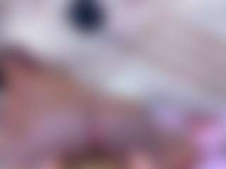 Live cam show with Kendrafosteer - Black MILF on liverealitysex.com
