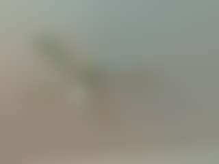 Mocha Kaia's Live Sex Cam Show