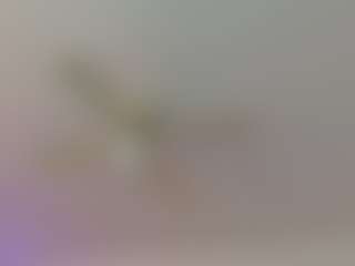 Live cam show with Mocha Kaia - Spank on CamClone
