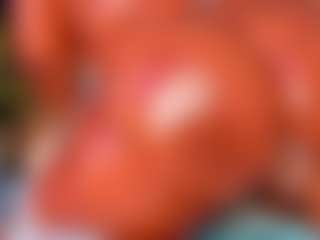 sofi-hill's Live Sex Cam Show