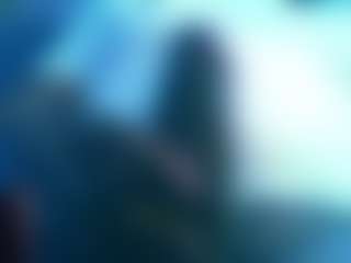 Chunky Palmer's Live Sex Cam Show