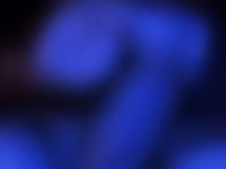 Chunky Palmer's Live Sex Cam Show