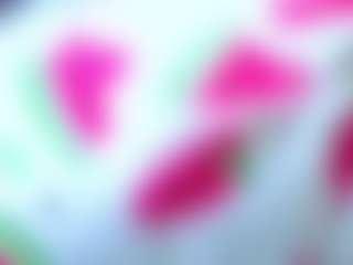 Margo and Alice's Live Sex Cam Show