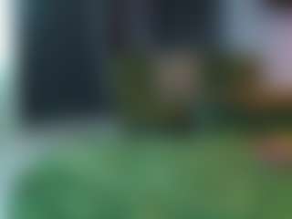 alicexalice's Live Sex Cam Show