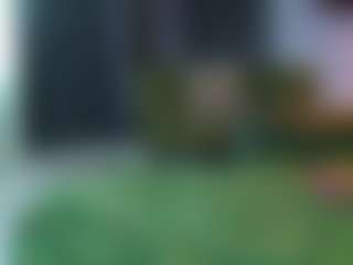 alicexalice's Live Sex Cam Show
