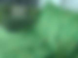 alicexalice's Live Sex Cam Show