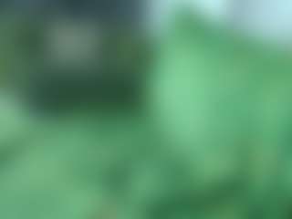 alicexalice's Live Sex Cam Show