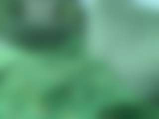 alicexalice's Live Sex Cam Show