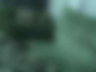 alicexalice's Live Sex Cam Show