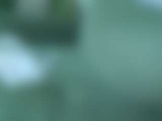 alicexalice's Live Sex Cam Show