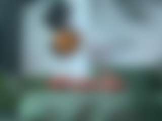 alicexalice's Live Sex Cam Show