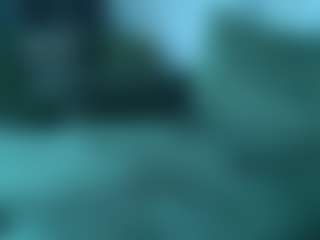 Alicexalice