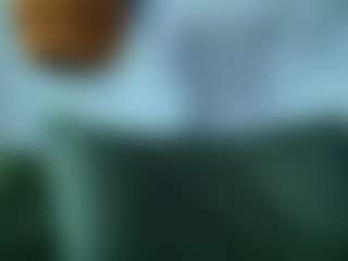 alicexalice's Live Sex Cam Show