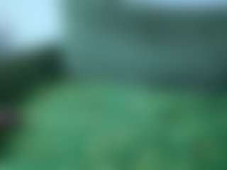 alicexalice's Live Sex Cam Show