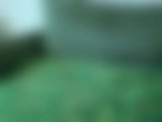 alicexalice's Live Sex Cam Show