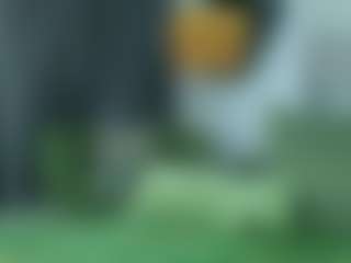 alicexalice's Live Sex Cam Show