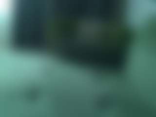 alicexalice's Live Sex Cam Show