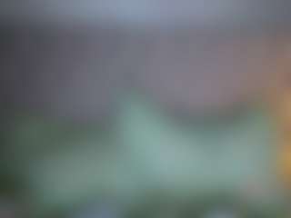 alicexalice's Live Sex Cam Show