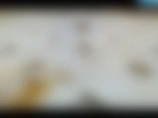 katherin-flow MILF webcam performer live streaming