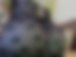 Hanna Palmer's Live Sex Cam Show