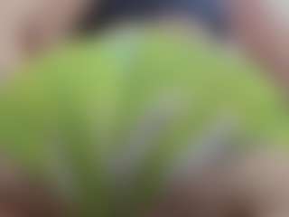 BIG BBW's Live Sex Cam Show