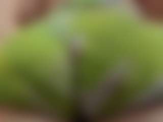 Live cam show with BIG BBW - White Mature on Camsoda | colombia