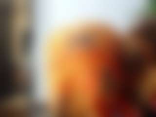 Perfect-Black-Ass's Live Sex Cam Show