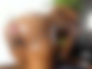 Perfect-Black-Ass's Live Sex Cam Show