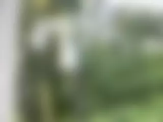 itstaylorofficial's Live Sex Cam Show