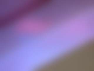 itstaylorofficial's Live Sex Cam Show