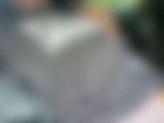 itstaylorofficial's Live Sex Cam Show
