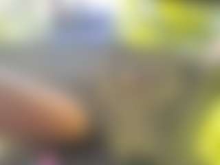 itstaylorofficial's Live Sex Cam Show