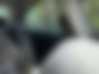 itstaylorofficial's Live Sex Cam Show